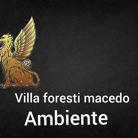 Ambiente Foresti Macedo Gramado Eksteriør billede