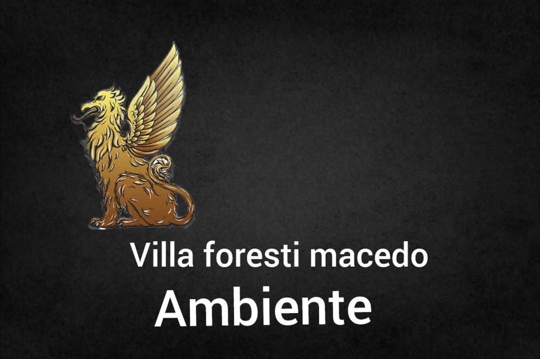 Ambiente Foresti Macedo Gramado Eksteriør billede